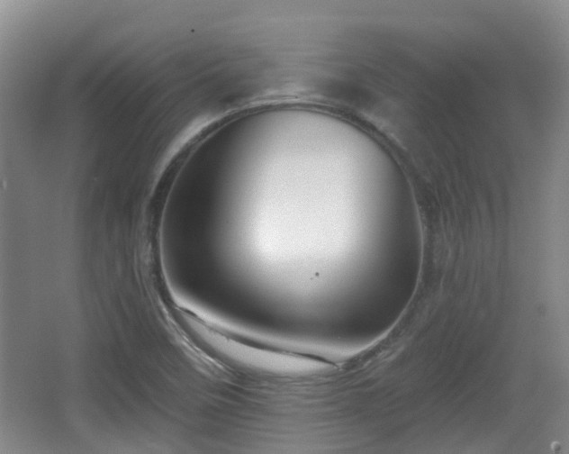 X0000065231458200602211131