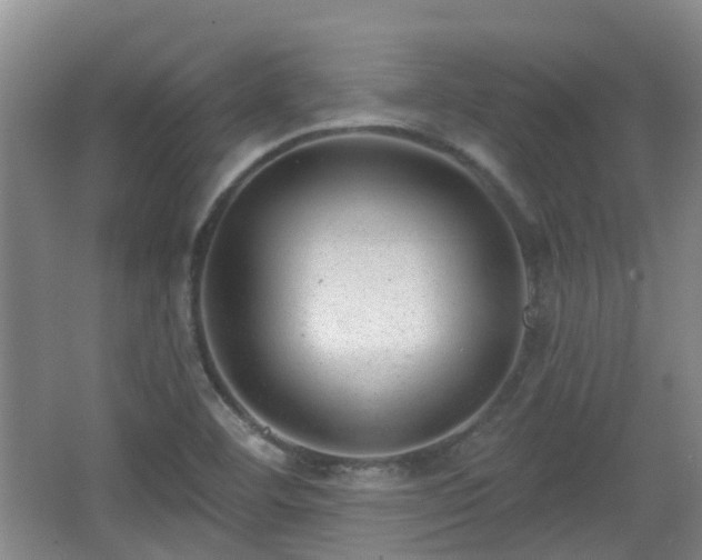 X0000065231460200602211131