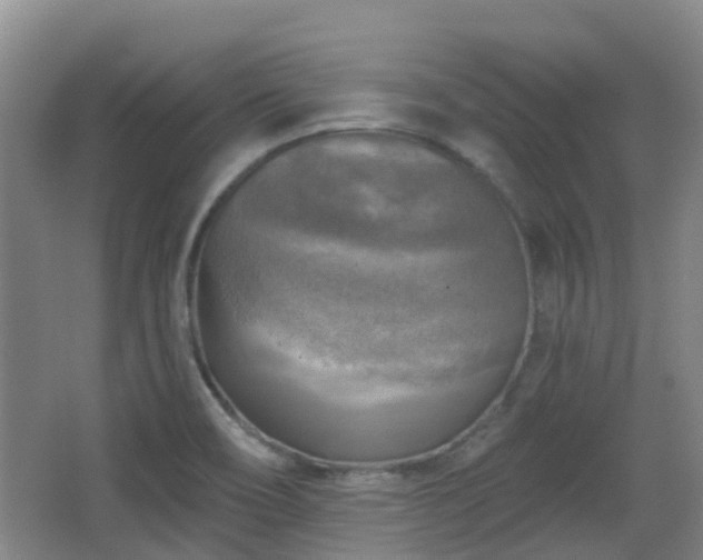 X0000065231466200602211131