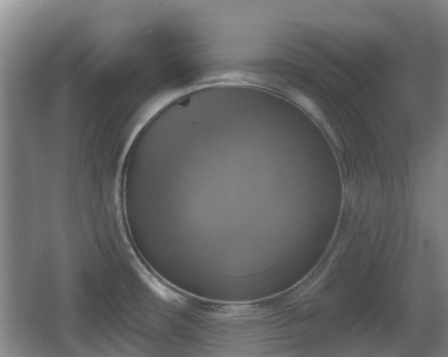 X0000065231482200602211131