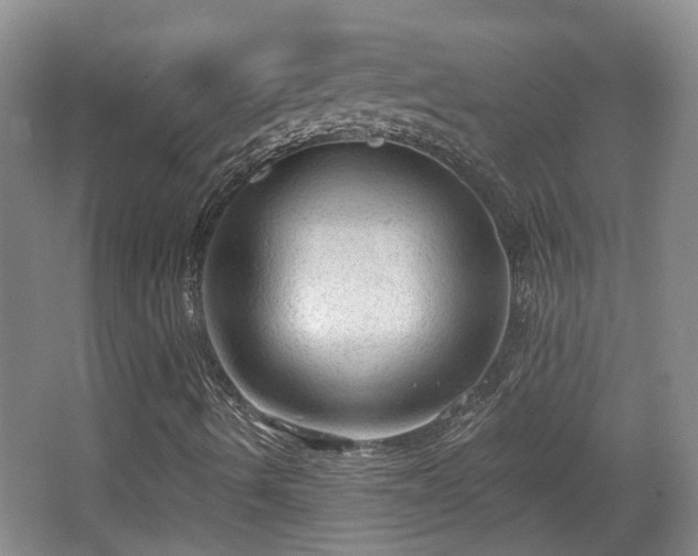 X0000065231490200602211130