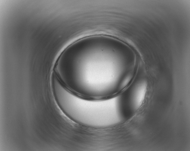 X0000065231516200602211131