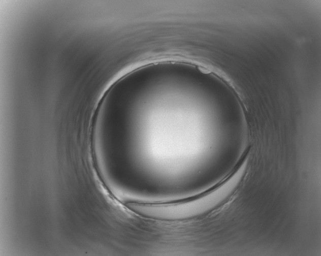 X0000065231534200602211131