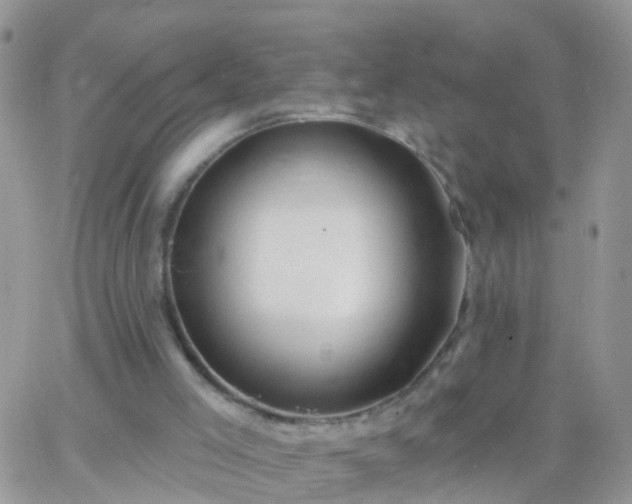 X0000065230005200602242011