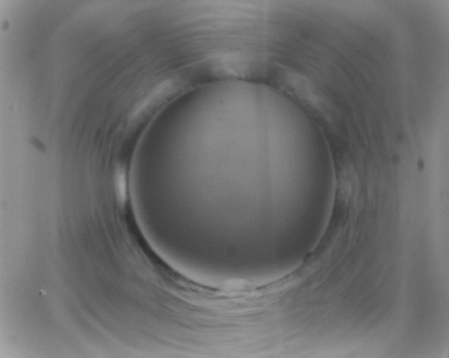 X0000065230027200602242011