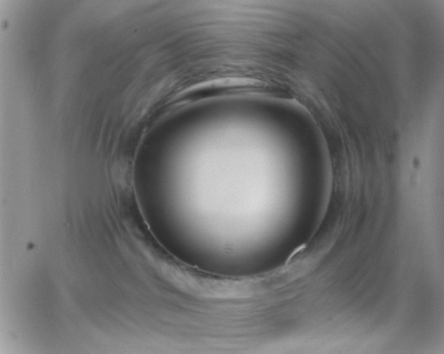X0000065230044200602242010