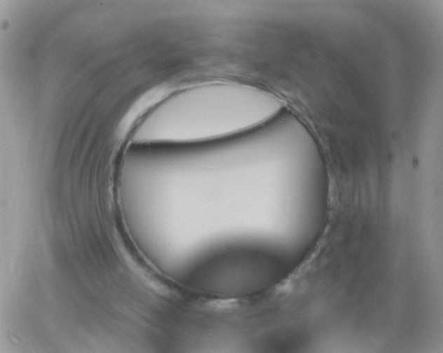 X0000065230054200602242010