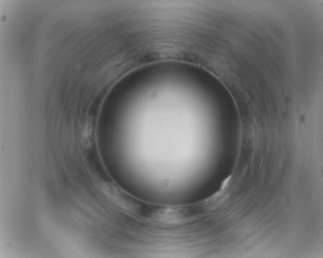 X0000065230082200602242010