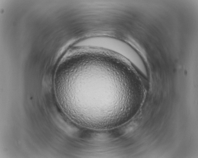 X0000065230107200602242009