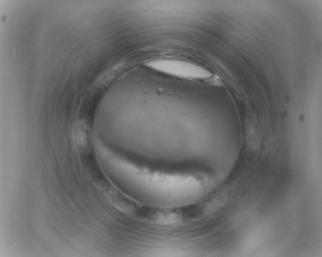 X0000065230169200602242008