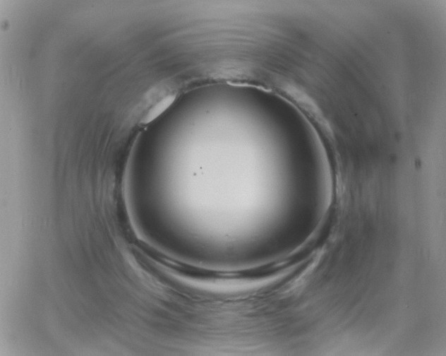 X0000065230201200602242008