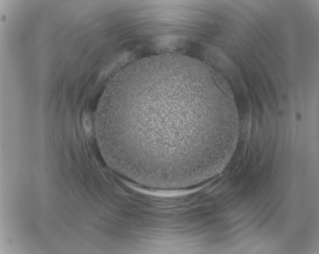 X0000065230335200602242005