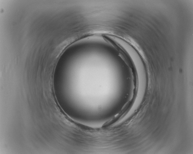X0000065230385200602242005