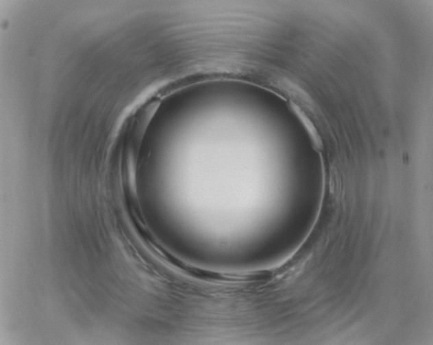 X0000065230388200602242005