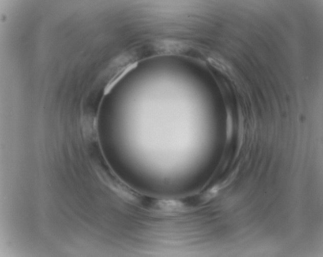 X0000065230429200602242004