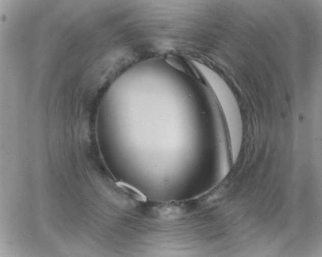 X0000065230512200602242003