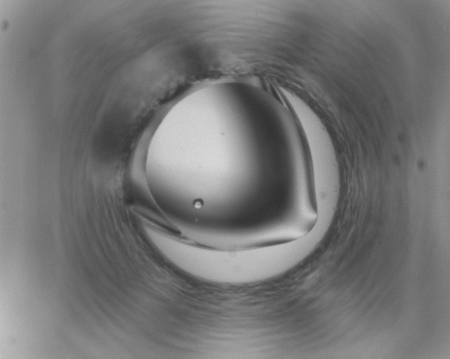 X0000065230697200602242000