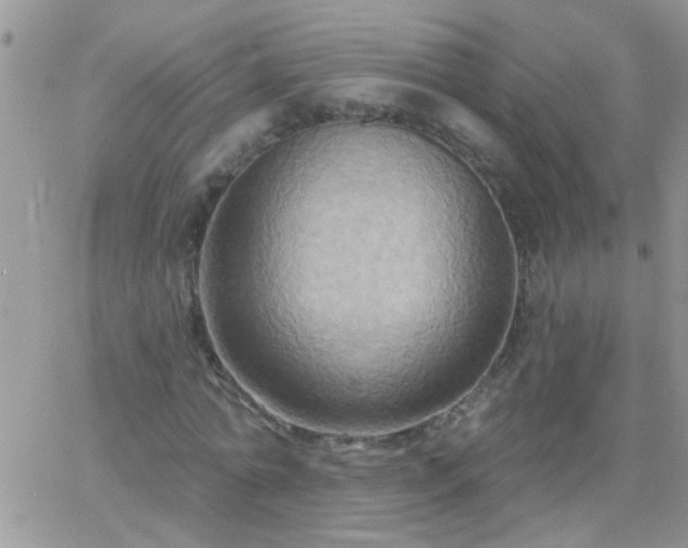X0000065230774200602241958