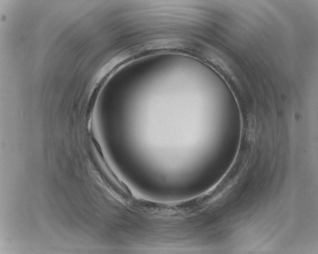 X0000065230786200602241958