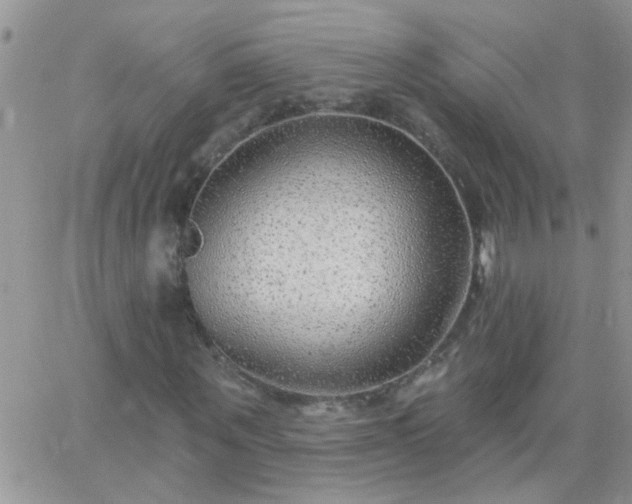 X0000065230867200602241957