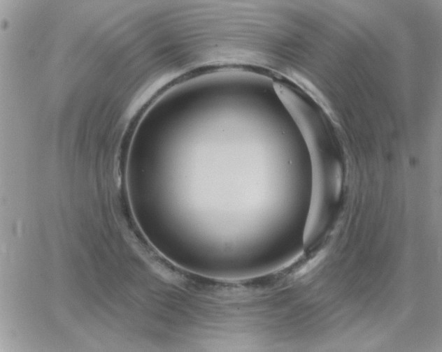 X0000065230885200602241956