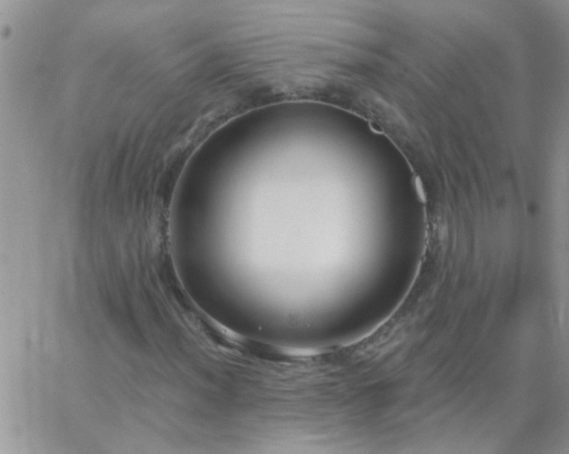 X0000065231012200602241954
