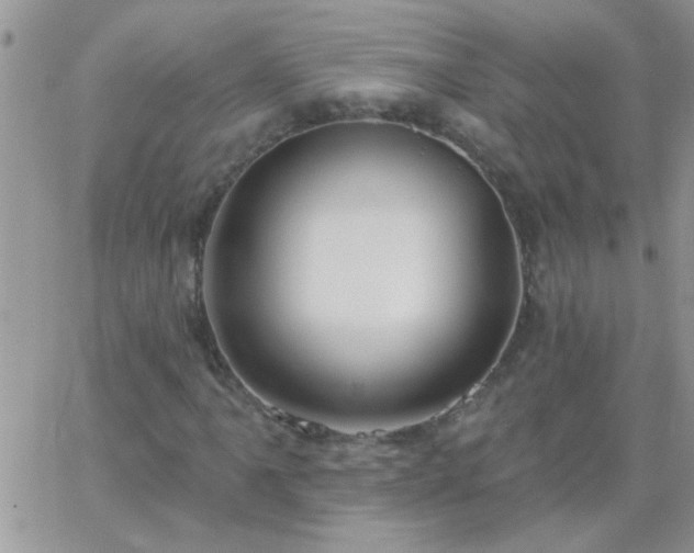 X0000065231061200602241953