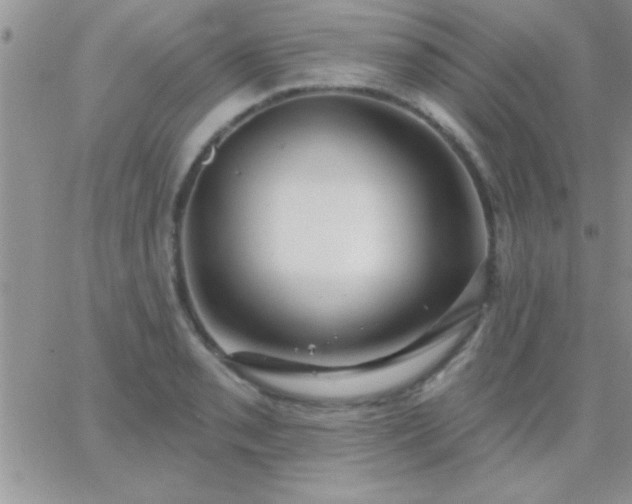 X0000065231085200602241953