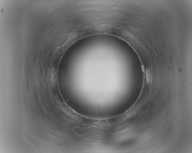 X0000065231107200602241952