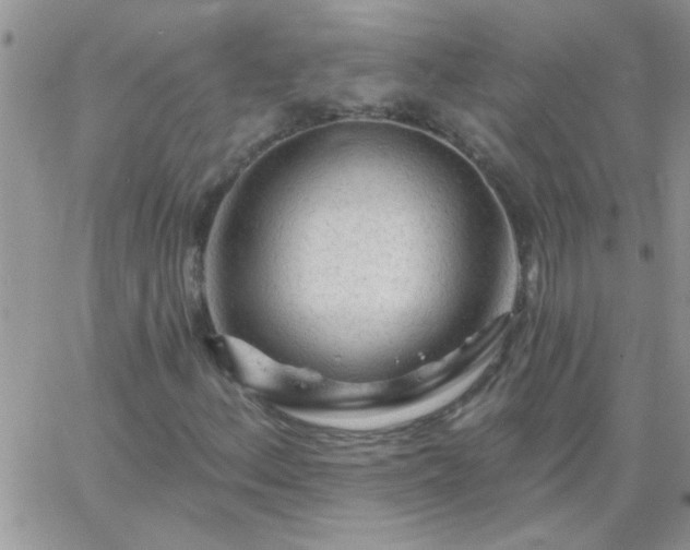 X0000065231156200602241952
