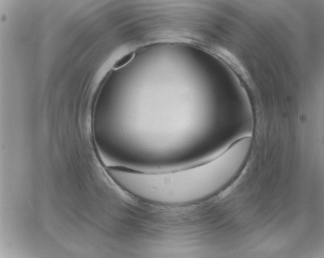 X0000065231188200602241951