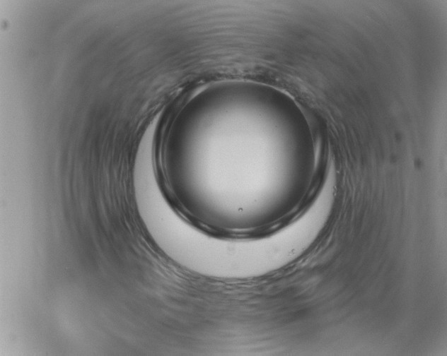 X0000065231202200602241950