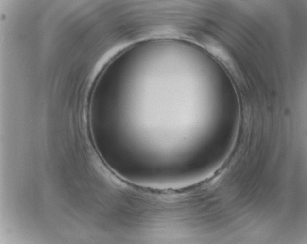 X0000065231288200602241950