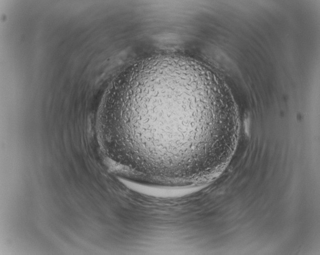X0000065231347200602241949