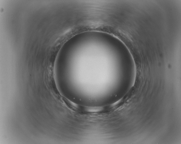 X0000065231349200602241949