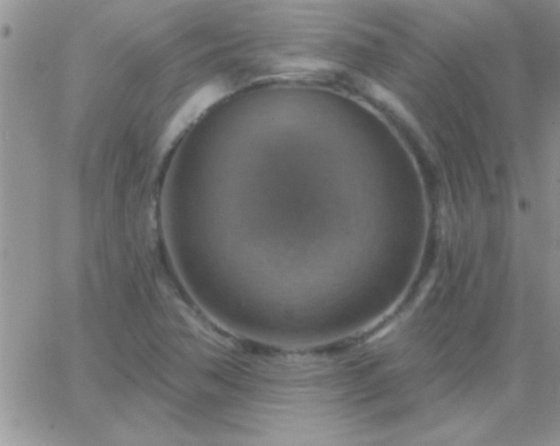 X0000065231362200602241949