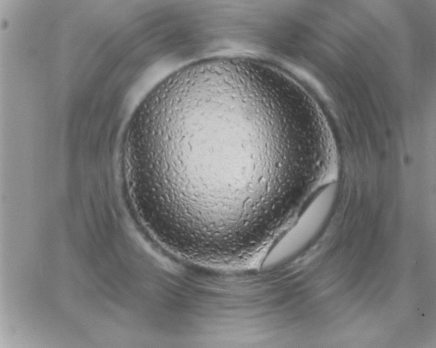 X0000065231375200602241948