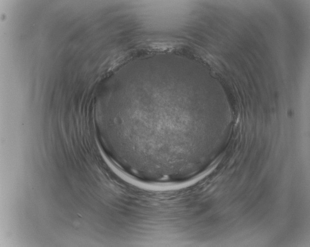 X0000065231394200602241947