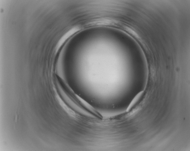 X0000065231426200602241948