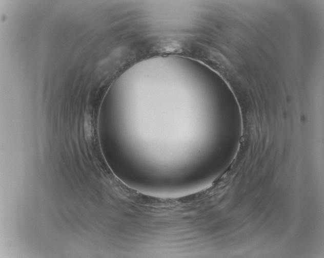 X0000065231442200602241947