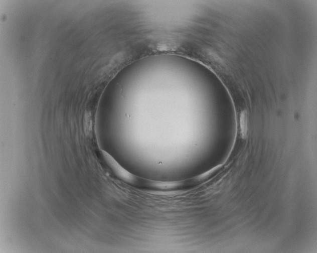 X0000065231443200602241947
