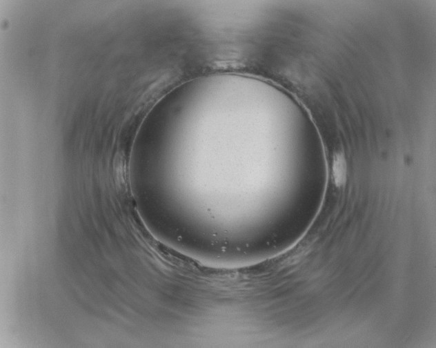 X0000065231444200602241947