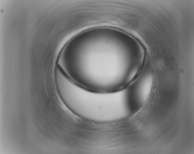 X0000065231516200602241946