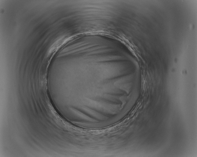 X0000065230002200603031725