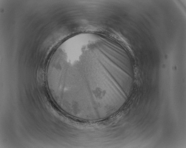 X0000065230012200603031725