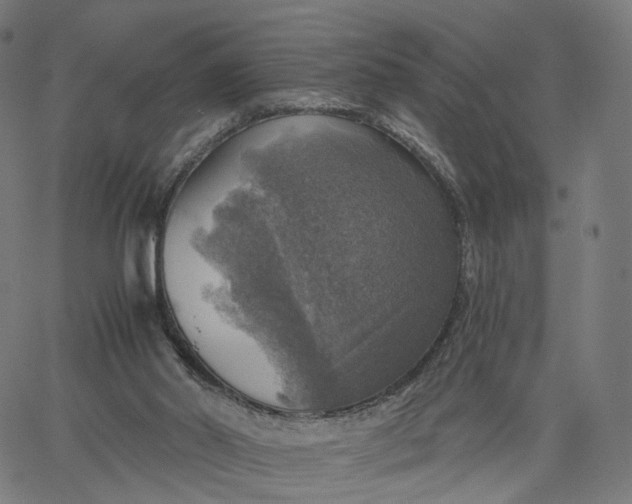 X0000065230014200603031725