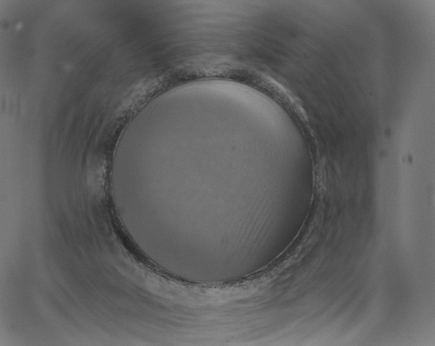 X0000065230018200603031725