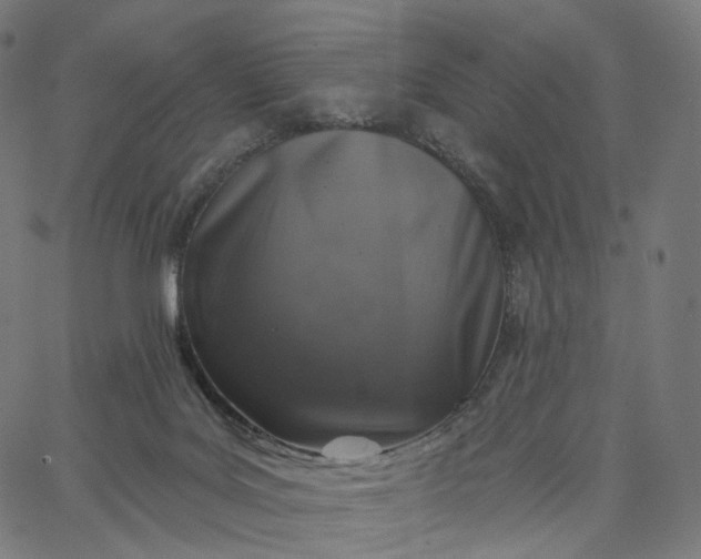 X0000065230027200603031724