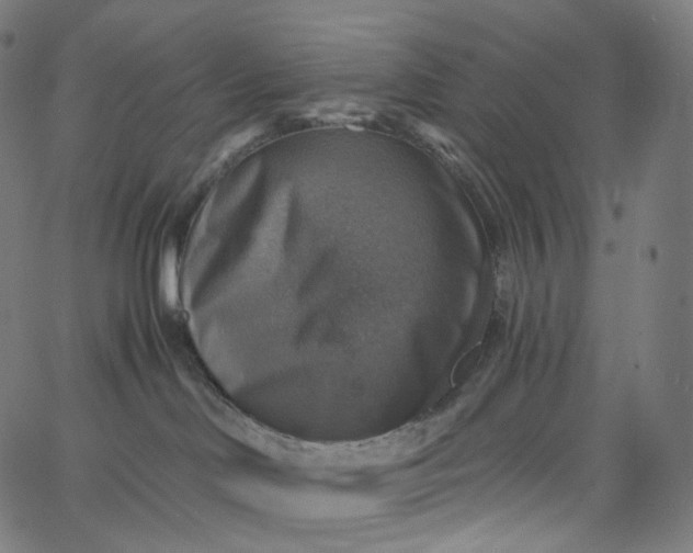 X0000065230046200603031724