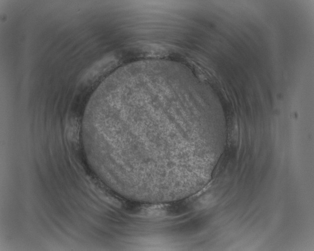 X0000065230078200603031724